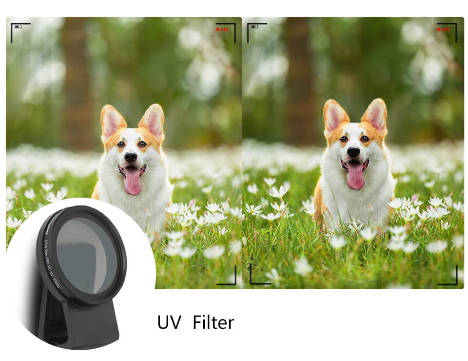 37mm 52mm Phone Camera Len Filter for Smartphone