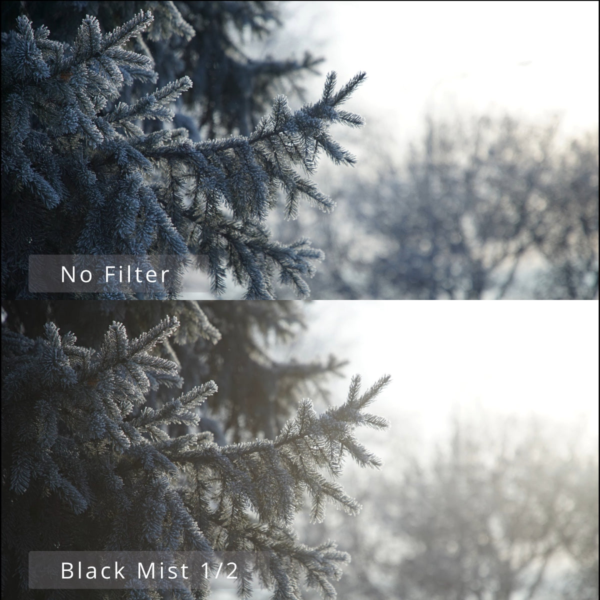 WalkingWay Black Mist Filters 1/2 1/4 1/8 Diffusion Filter Ultra Slim ...