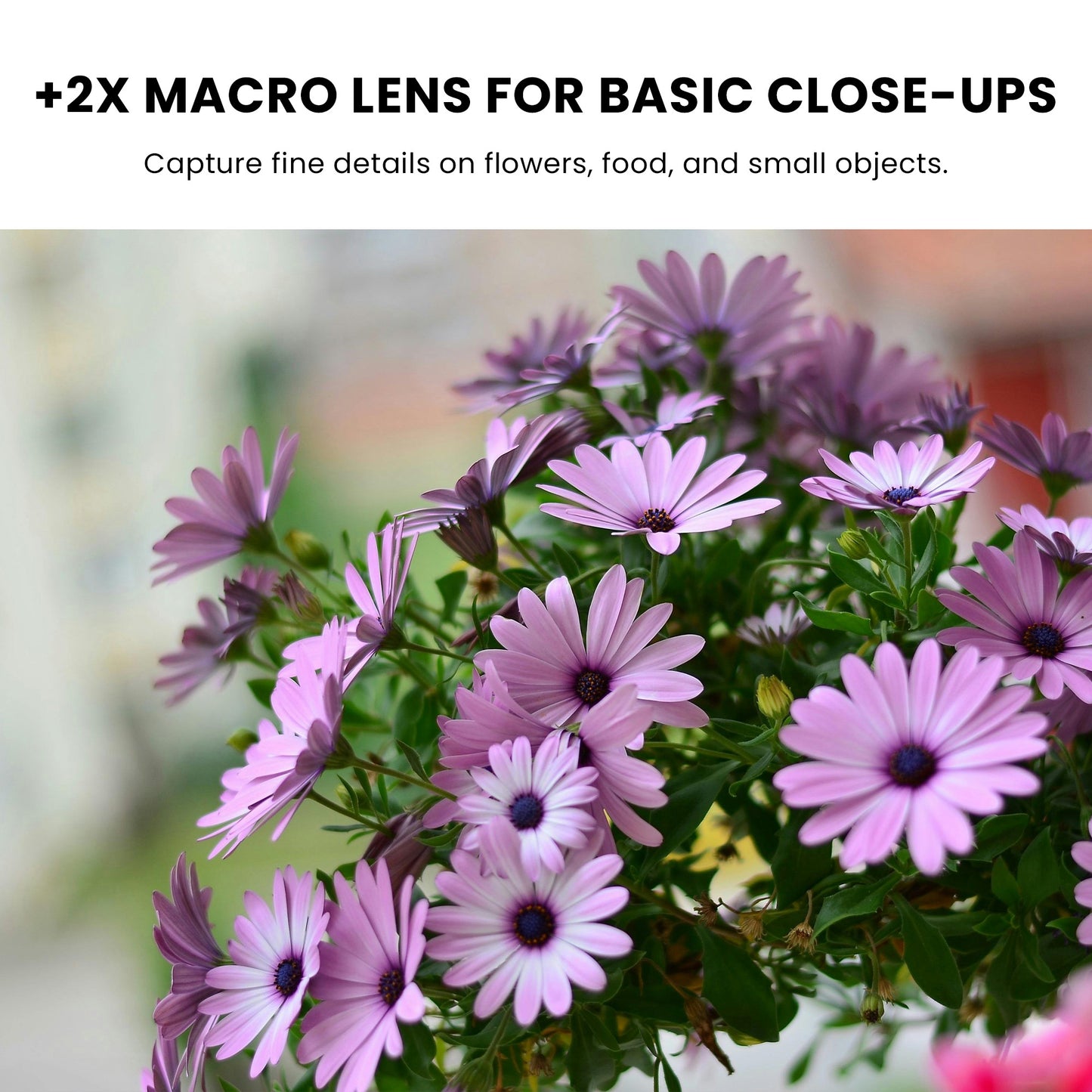 Macro Close up Filter