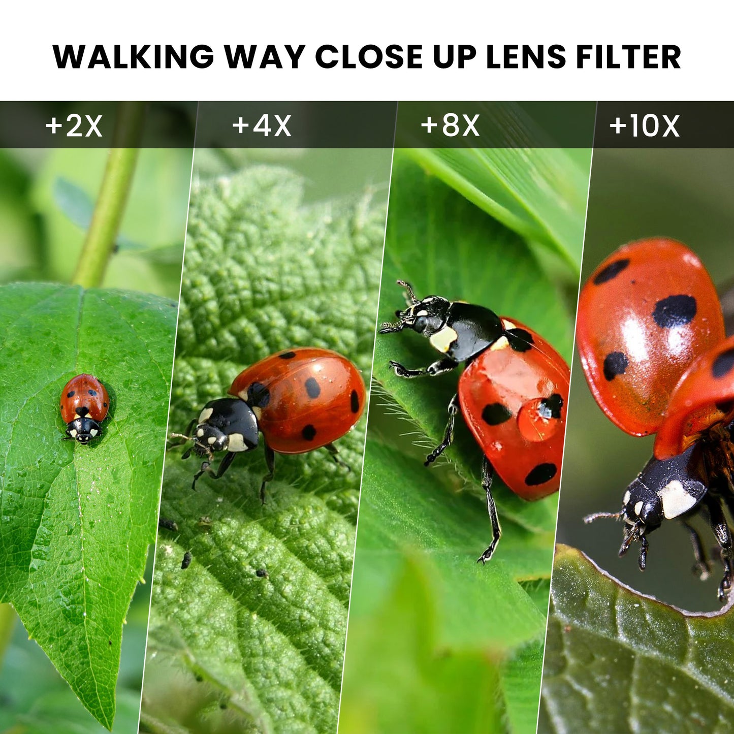 Macro Close up Filter