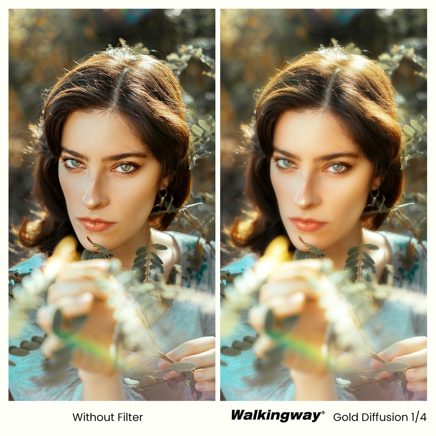 Gold Diffusion Filter 1/4