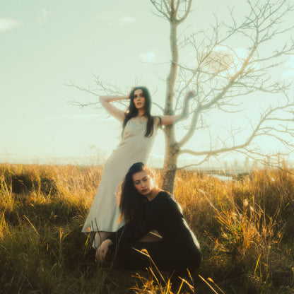 Retro Soft Diffusion Filter