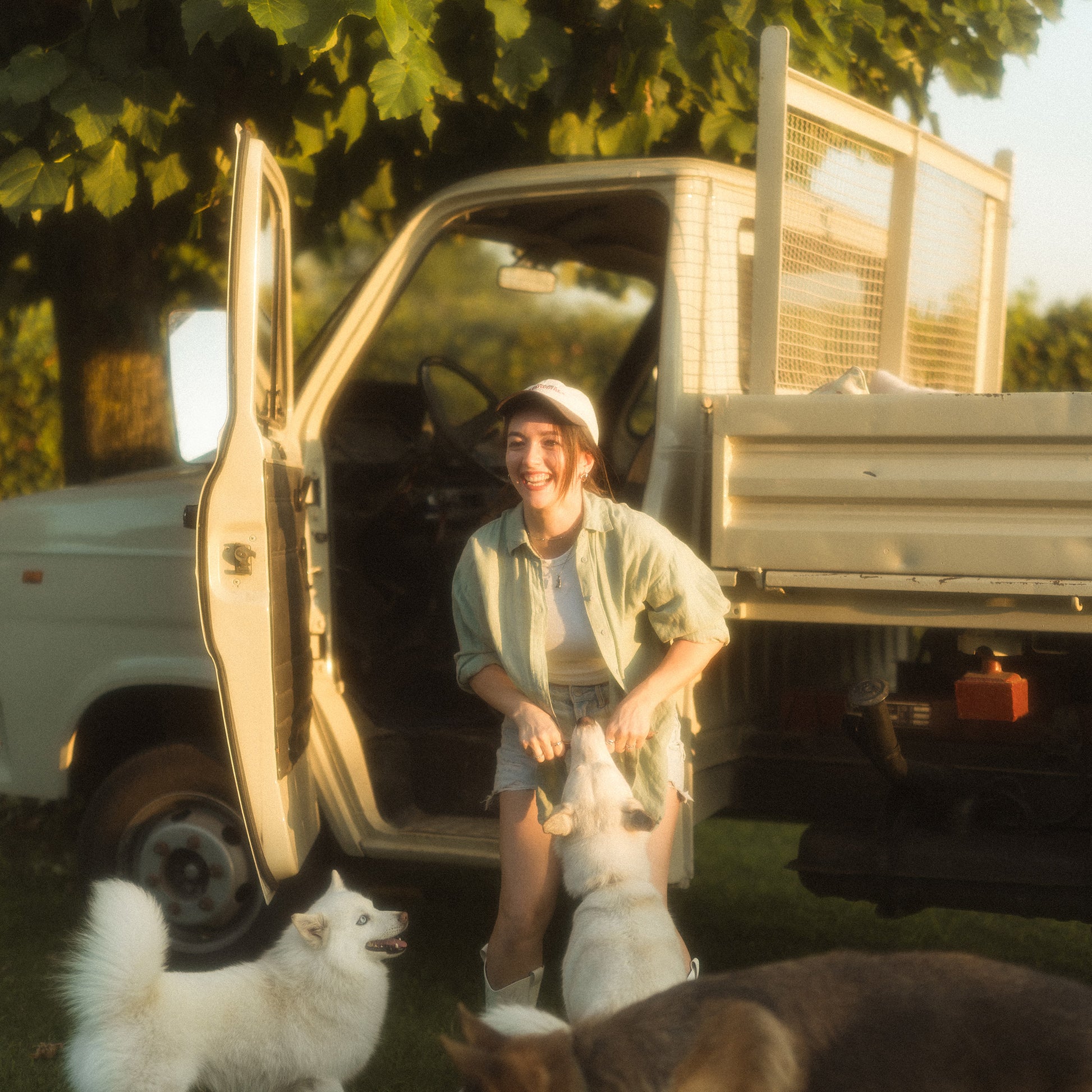 Shot with WalkingWay Retro Soft Filter | Person with dogs near an open truck door in a natural setting